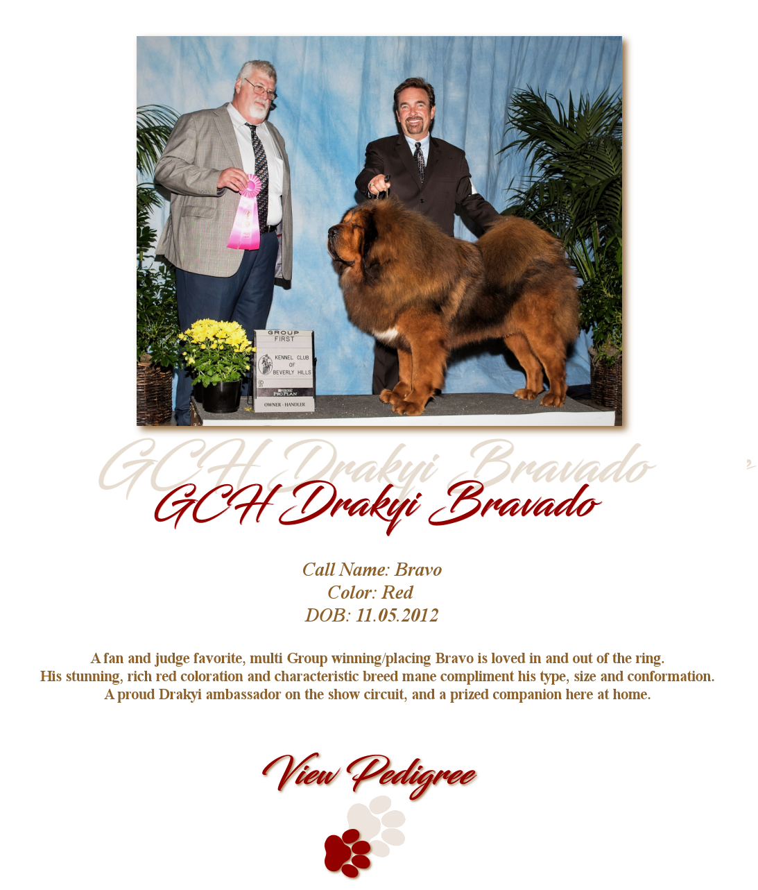 GCH Drakyi Bravado