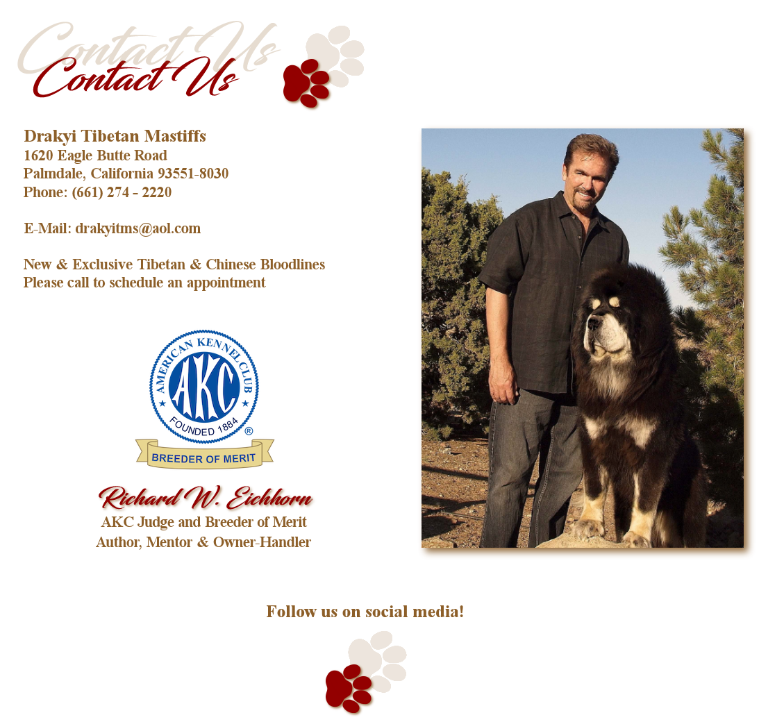 Contact Us