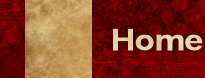 Main Page