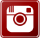 Drakyi Tibetan Mastiffs on Instagram