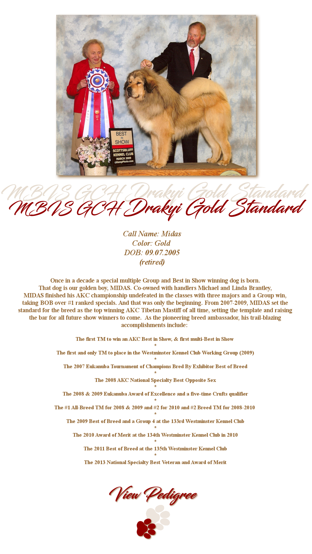 MBIS GCH Drakyi Gold Standard