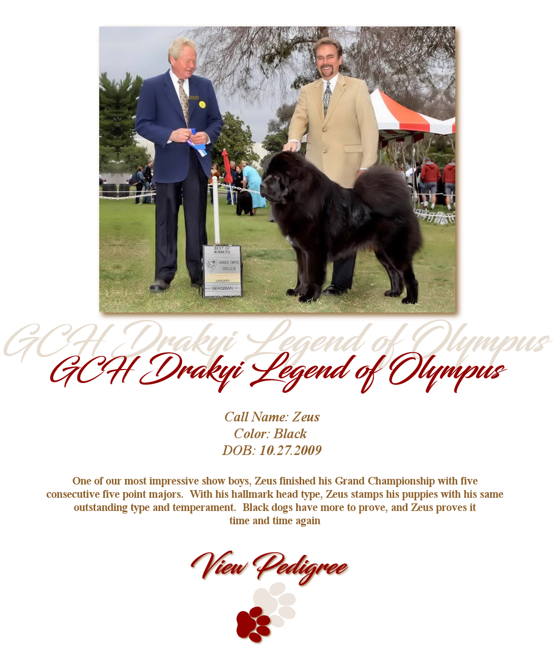 GCH Drakyi Legend of Olympus